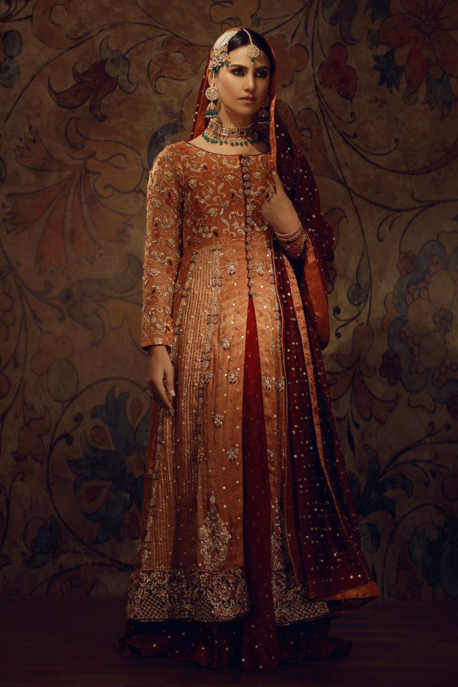 Picture of Orange Long Trail