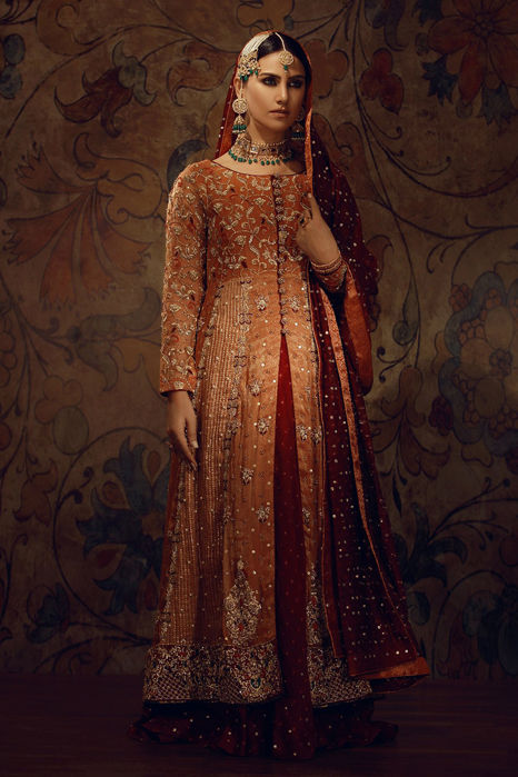 Picture of Orange Long Trail