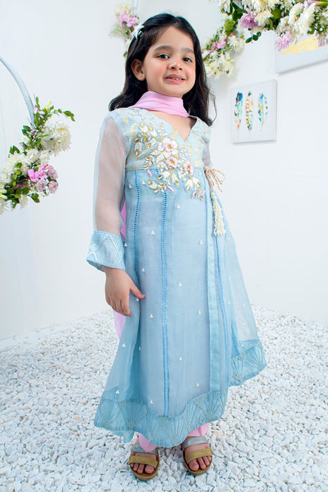 Picture of Mini French Blue