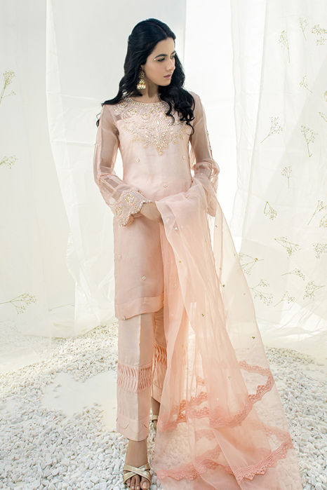 Picture of Ochre Peach