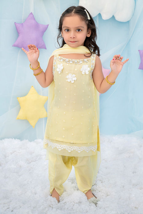 Picture of Yellow Daisy