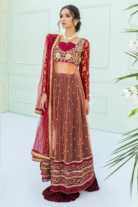 Picture of Afreen (Kamdani Net)