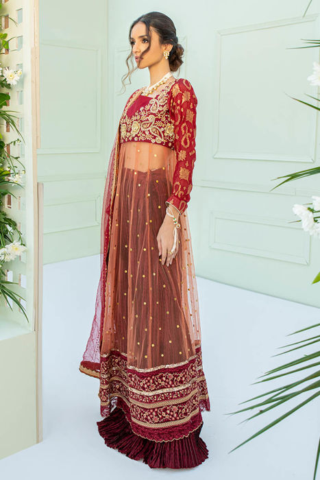 Afreen (Kamdani Net)