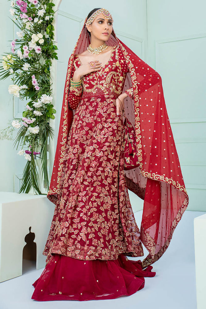 Picture of Zeenat (Maroon Kalidar)