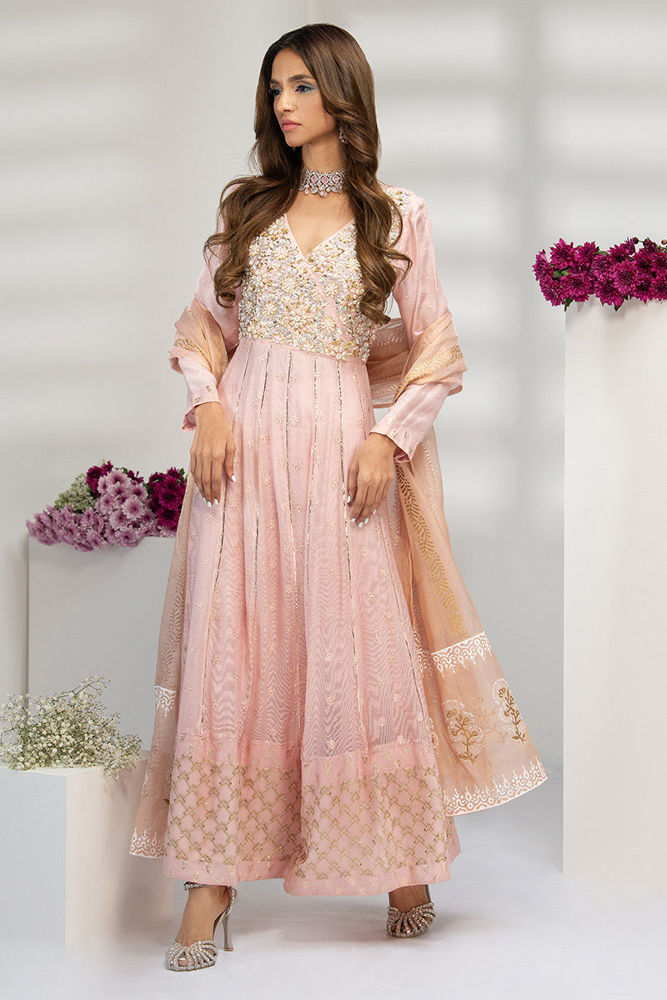 Picture of Kashmiri Pink Kalidar