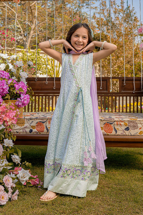 Picture of Mini Mint Chikan Angharka