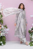 Picture of Moonlit Grace - Shirt and Dupatta