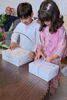 Picture of Client In Mini Leena