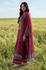 Picture of Mystic Magneta