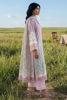 Picture of Whisper Rose