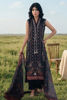 Picture of Black Skye