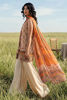 Picture of Beige Nadine