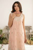Picture of Blush Blossom
