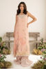 Picture of Blush Blossom